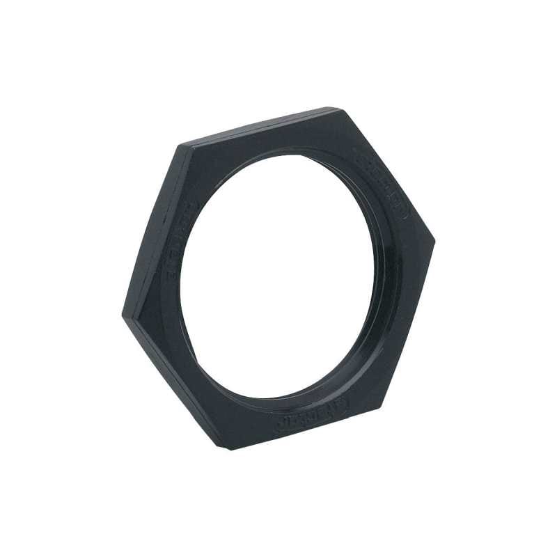 IFM - E10029