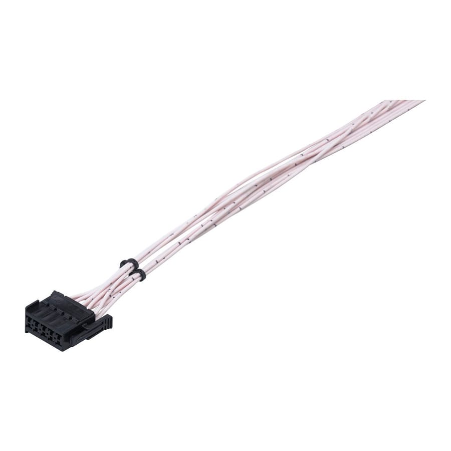 IFM - EC1521