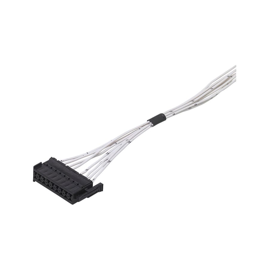 IFM - EC1524