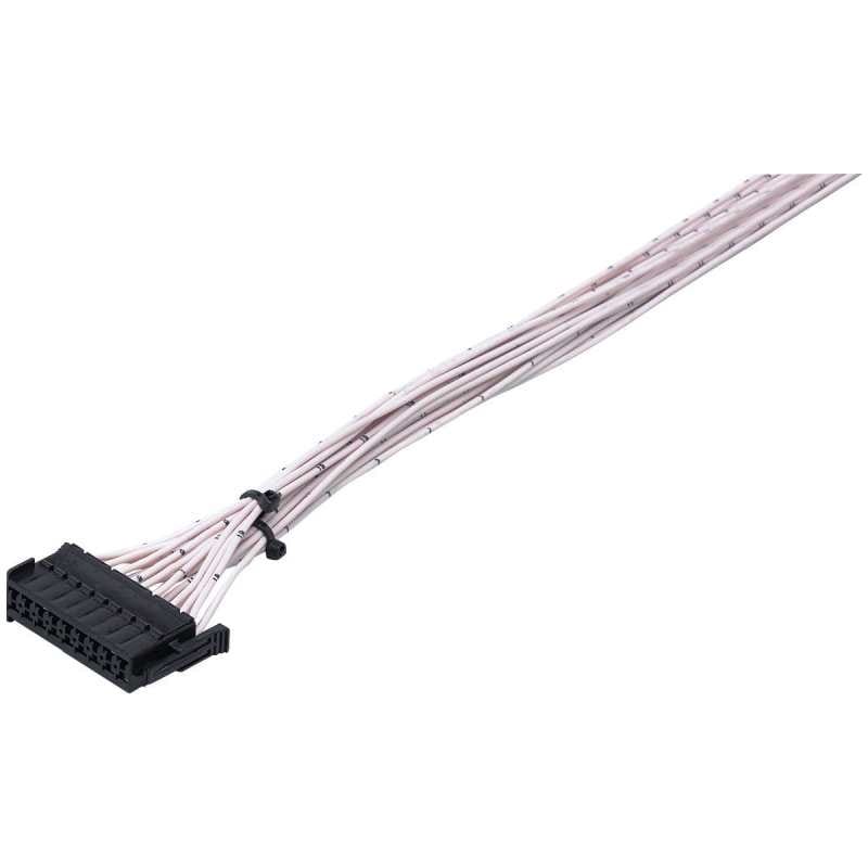 IFM - EC1533